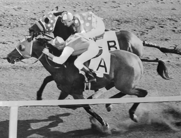 Framed Print : Seabiscuit and Ligaroti Racing at Del Mar Framed Print : Seabiscuit and Ligaroti Racing at Del Mar