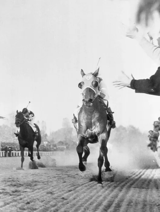 Framed Print : Seabiscuit and War Admiral Match Race Framed Print : Seabiscuit and War Admiral Match Race