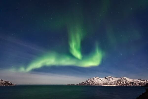 The Seals. Northern Lights (Aurora Borealis) over GrotfjA┼¥rd, KvalA┼¥ya (lit