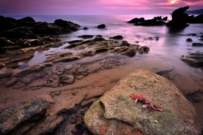 Framed Print : Seascape of east coast