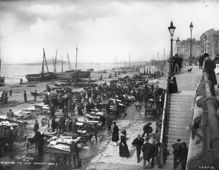 Framed Print : Seaside Fish Market Framed Print : Seaside Fish Market