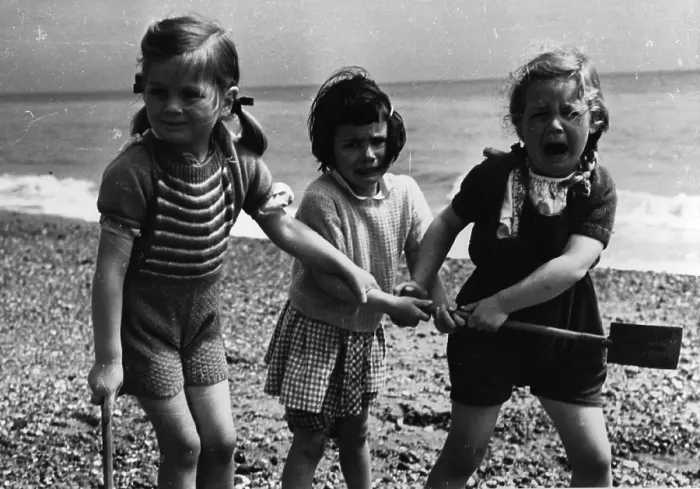 Framed Print : Seaside Squabble Framed Print : Seaside Squabble