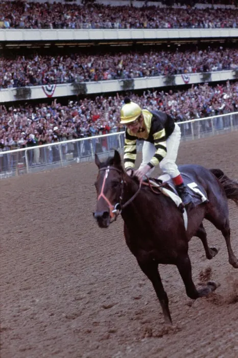 Framed Print : Seattle Slew Racing with Crowd Behind Framed Print : Seattle Slew Racing with Crowd Behind