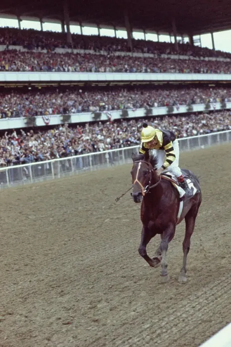 Framed Print : Seattle Slew Winning Belmont Stakes Framed Print : Seattle Slew Winning Belmont Stakes