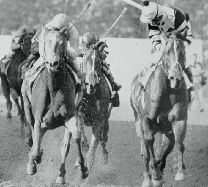 Framed Print : Seattle Slew Winning Preakness Stakes Framed Print : Seattle Slew Winning Preakness Stakes