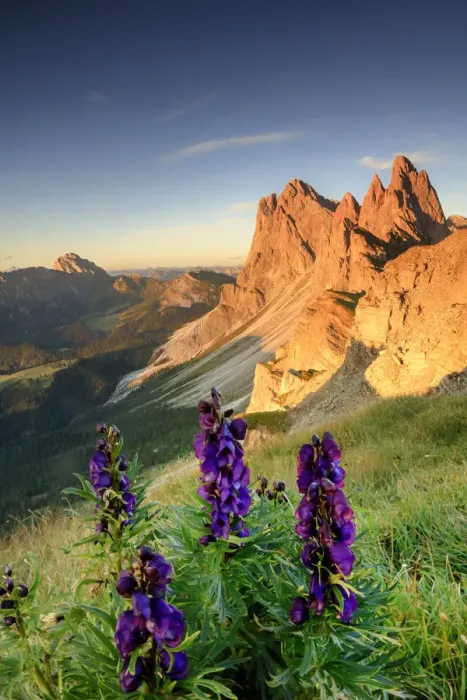 Framed Print : Seceda mountain