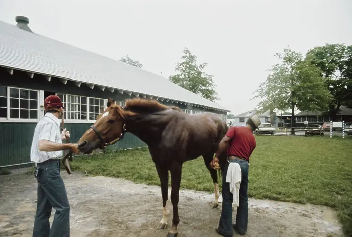 Framed Print : Secretariat, American Racehorse Framed Print : Secretariat, American Racehorse