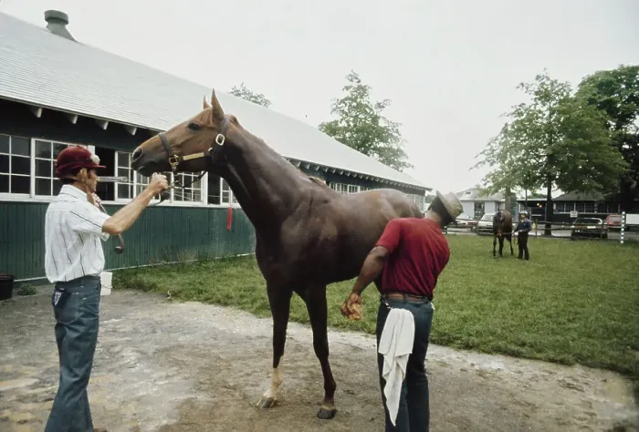 Framed Print : Secretariat, American Racehorse Framed Print : Secretariat, American Racehorse
