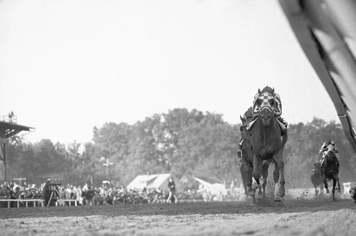 Framed Print : Secretariat Coming Hard to Finish Line Framed Print : Secretariat Coming Hard to Finish Line