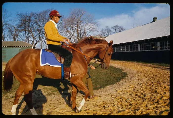Framed Print : Secretariat Being Ridden on Track