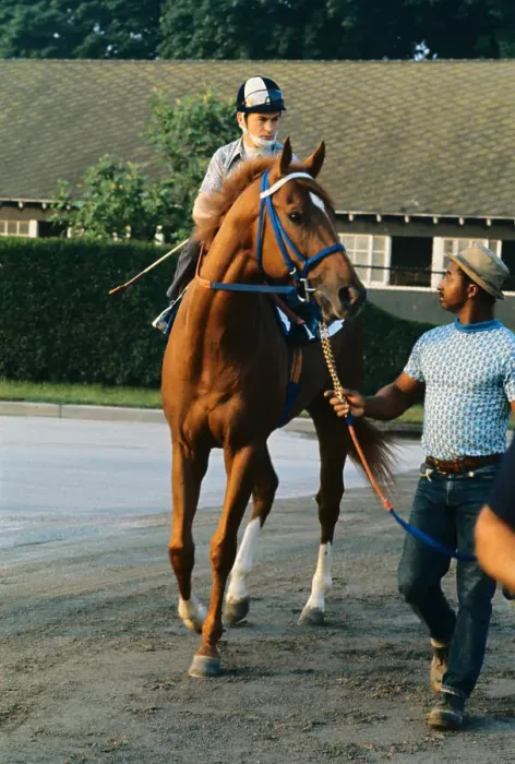 Framed Print : Secretariat Running Alongside Track Framed Print : Secretariat Running Alongside Track