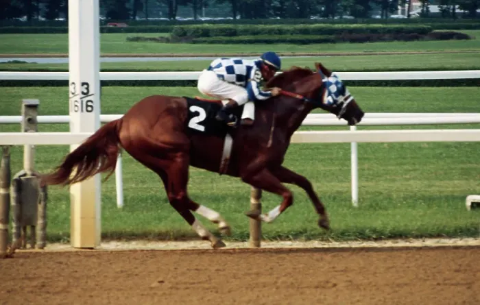 Framed Print : Secretariat Running on Track Framed Print : Secretariat Running on Track