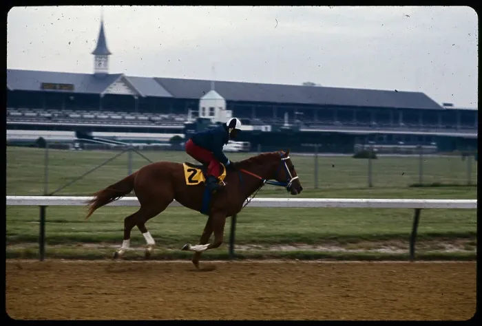 Framed Print : Secretariat Running on Track