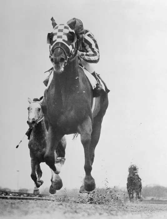 Framed Print : Secretariat Winning at the Finish Line Framed Print : Secretariat Winning at the Finish Line