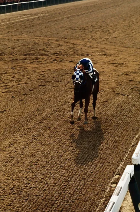 Framed Print : Secretariat Winning the Triple Crown Framed Print : Secretariat Winning the Triple Crown