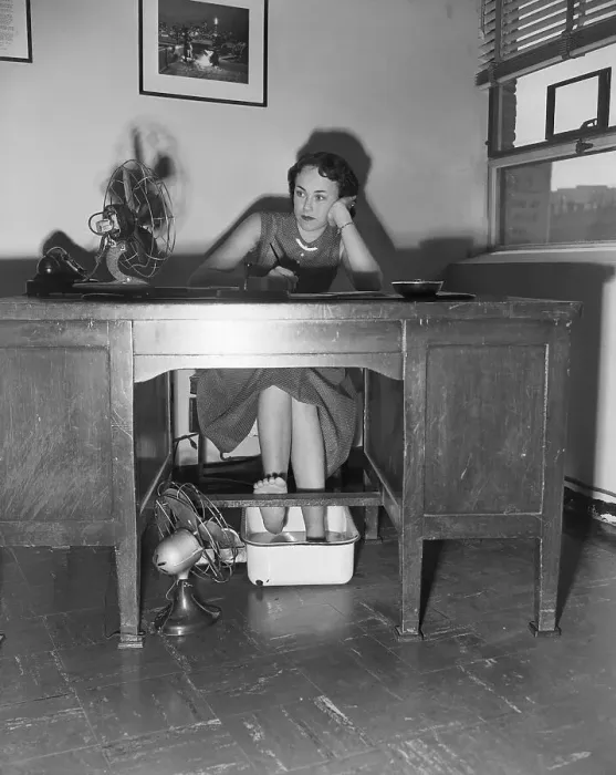 Framed Print : Secretary Trying to Cool Off Framed Print : Secretary Trying to Cool Off