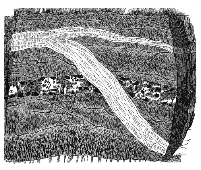 Framed Print : Section of a terrain Framed Print : Section of a terrain