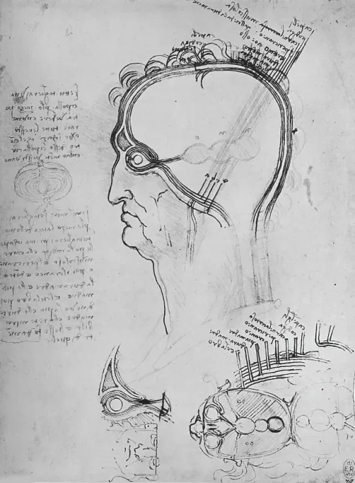 Framed Print : Sections of a Man's Head Showing the Anatomy of the Eye, Etc. c1480 Framed Print : Sections of a Man's Head Showing the Anatomy of the Eye, Etc. c1480