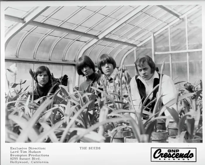 Framed Print : The Seeds. LOS ANGELES - CIRCA 1967: The Seeds Framed Print : The Seeds. LOS ANGELES - CIRCA 1967: The Seeds