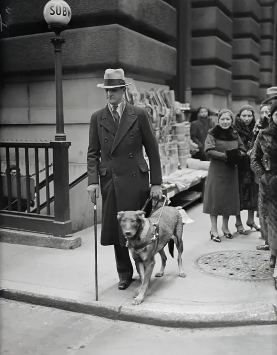 Framed Print : Seeing Eye Dog Leading Man in New York City