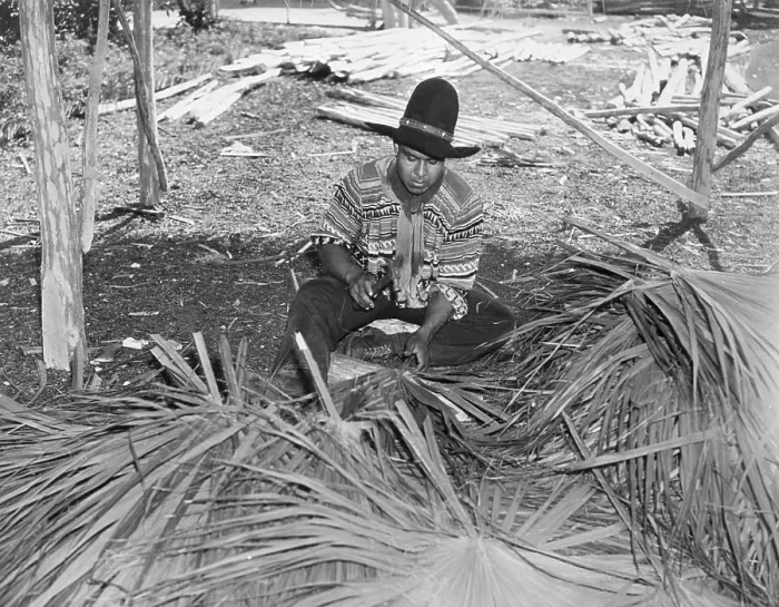 Framed Print : Seminole Indian Working With Palm Fronds Framed Print : Seminole Indian Working With Palm Fronds