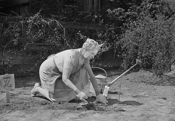 Senior woman digging in garden