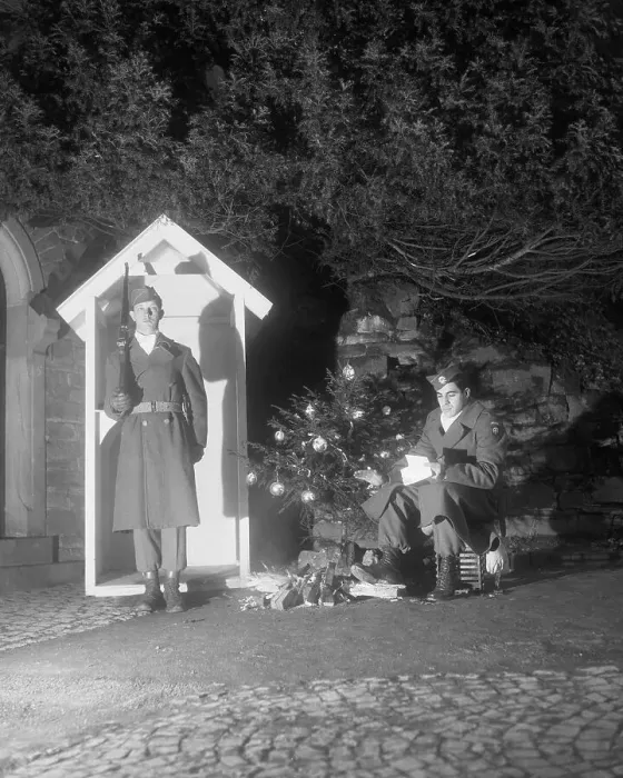 Framed Print : Sentries at Sentry Box with Christmas Tree Framed Print : Sentries at Sentry Box with Christmas Tree