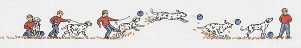 Sequence of illustrations of boy playing with Dalmatian dog
