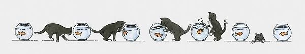Sequence of illustrations showing black kitten and goldfish in bowl