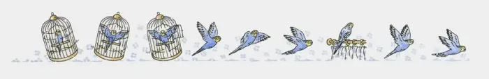 Framed Print : Sequence of illustrations showing blue budgerigar inside birdcage, flying, and perching Framed Print : Sequence of illustrations showing blue budgerigar inside birdcage, flying, and perching