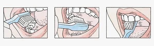 Sequence of illustrations showing how to brush teeth correctly using toothbrush