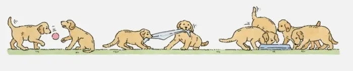 Framed Print : Sequence of illustrations showing Labrador puppies playing outside