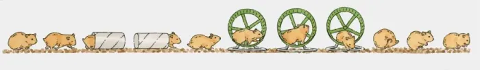 Framed Print : Sequence of illustrations showing playful guinea pig in toilet paper tube and exercise wheel Framed Print : Sequence of illustrations showing playful guinea pig in toilet paper tube and exercise wheel