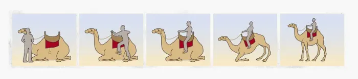 Framed Print : Series of illustrations showing how to climb on to a camel as it lies down and sitting as it stands up Framed Print : Series of illustrations showing how to climb on to a camel as it lies down and sitting as it stands up