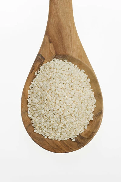 Sesame (Sesamum indicum) seeds on an olive wood spoon