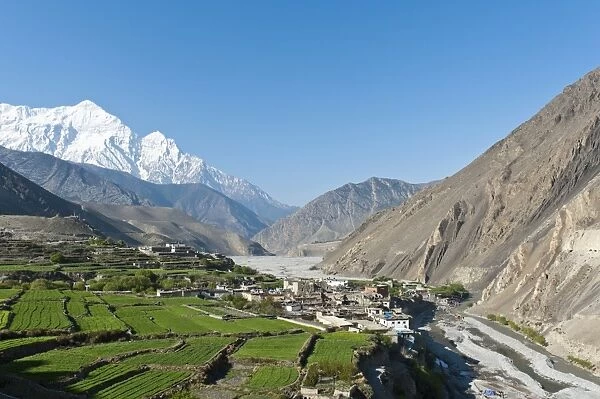 Settlement on the Kali Gandaki River, snow-capped Mt Nilgiri North, 7061 m, at back, Kagbeni, Lower Mustang, Lo, Nepal