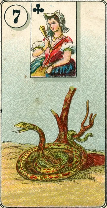 Framed Print : Seven of Clubs, Snake, Fortune Telling series, full deck of playing cards, Carreras Ltd Tobacco, 1926 Framed Print : Seven of Clubs, Snake, Fortune Telling series, full deck of playing cards, Carreras Ltd Tobacco, 1926