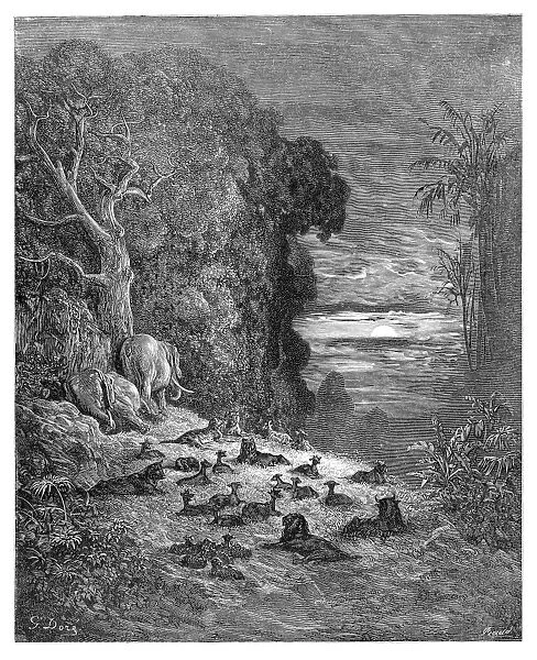 The seven evening on earth engraving 1885