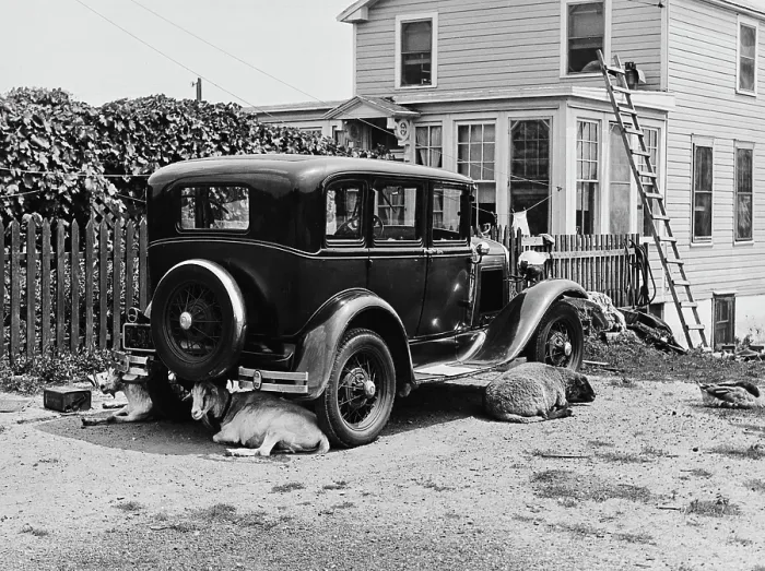 Framed Print : In The Shade Of A Ford Auto Framed Print : In The Shade Of A Ford Auto