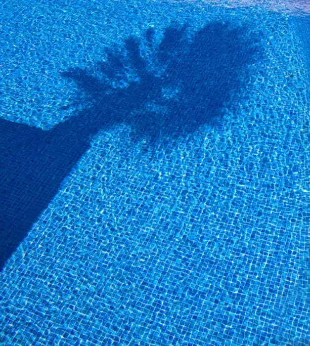 Framed Print : Shadow of a palm tree in a pool Framed Print : Shadow of a palm tree in a pool