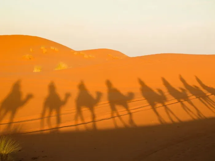 Framed Print : Shadow Touaregs Framed Print : Shadow Touaregs