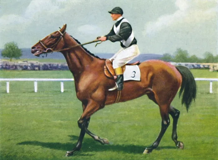 Framed Print : Shalfleet, Jockey: R. Perryman, 1939. Winners of the July Cup Framed Print : Shalfleet, Jockey: R. Perryman, 1939. Winners of the July Cup