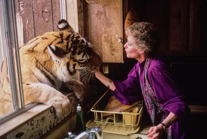 Framed Print : Shambala Preserve, Acton, California Framed Print : Shambala Preserve, Acton, California
