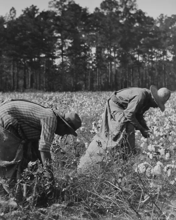 Framed Print : Sharecroppers Framed Print : Sharecroppers