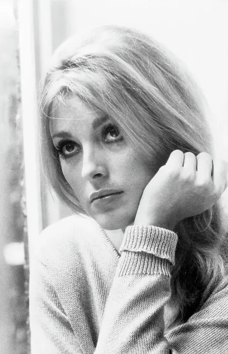 Framed Print : Sharon Tate Framed Print : Sharon Tate