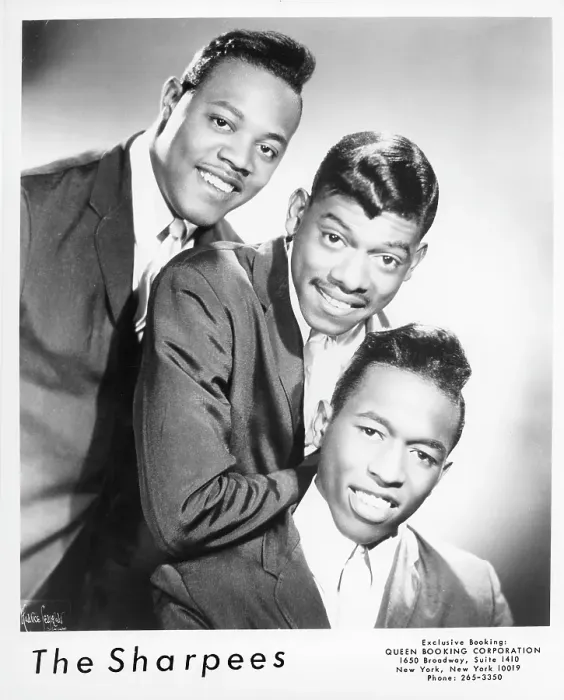 Framed Print : The Sharpees Portrait Framed Print : The Sharpees Portrait