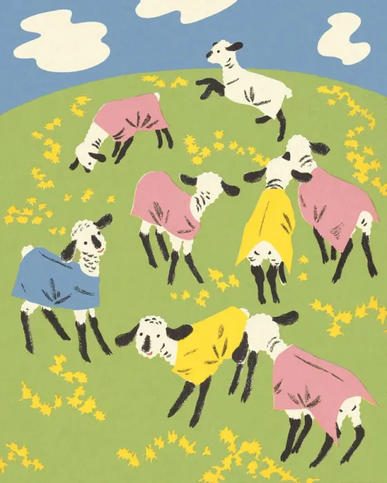 Framed Print : Sheep in a Pasture Framed Print : Sheep in a Pasture