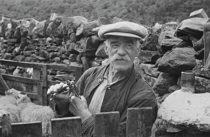 Framed Print : Sheep Shearing In Snowdonia Framed Print : Sheep Shearing In Snowdonia