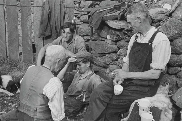Framed Print : Sheep Shearing In Snowdonia Framed Print : Sheep Shearing In Snowdonia