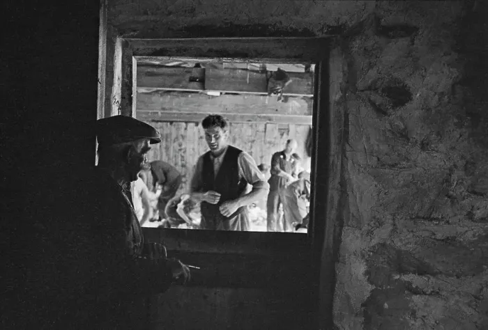 Framed Print : Sheep Shearing In Snowdonia Framed Print : Sheep Shearing In Snowdonia
